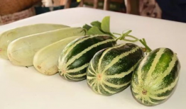 网红吃瓜最新爆料图片